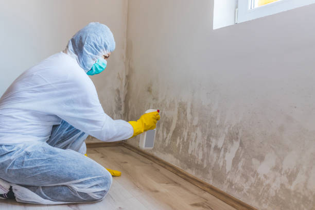 Licensed Mold Remediation service in Leesburg, VA - 24 Hour Mold Removal