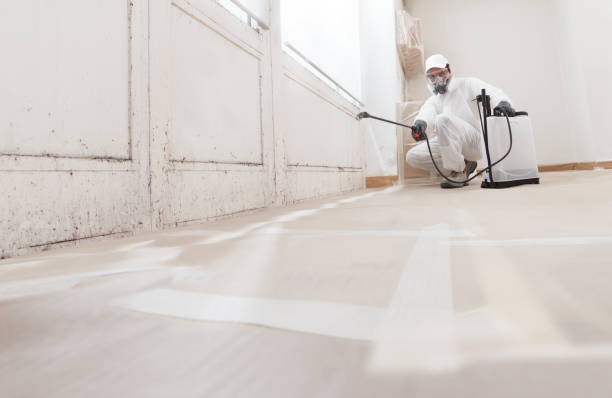 24/7 Emergency Mold Remediation experts in Leesburg, VA