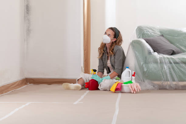 Reliable Mold Remediation contractor in Leesburg, VA by 24 Hour Mold Removal